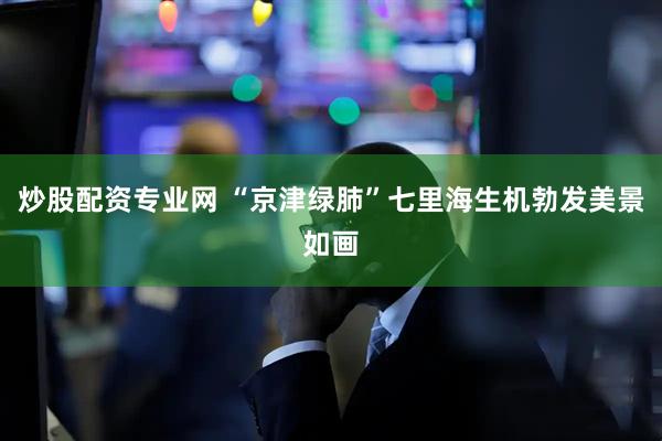 炒股配资专业网 “京津绿肺”七里海生机勃发美景如画