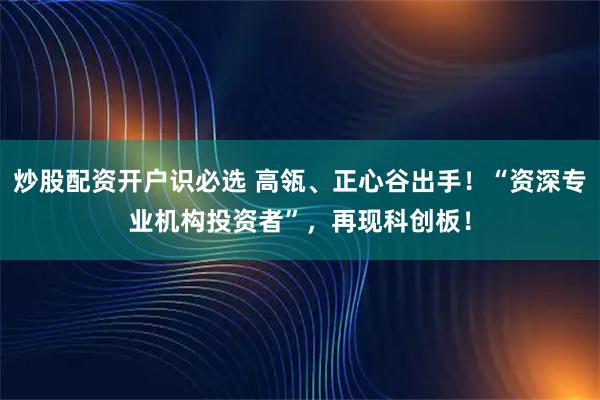 炒股配资开户识必选 高瓴、正心谷出手！“资深专业机构投资者”，再现科创板！
