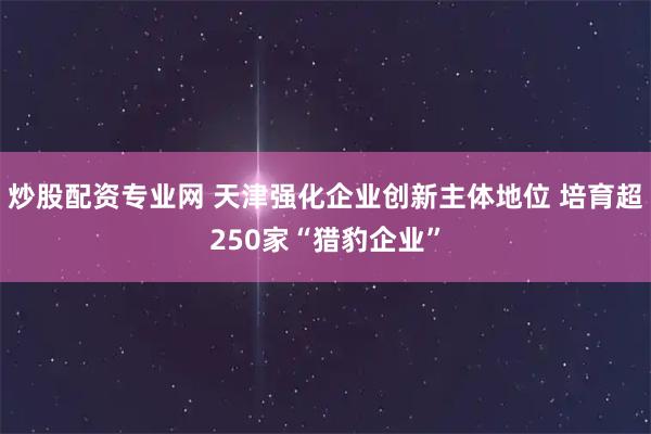 炒股配资专业网 天津强化企业创新主体地位 培育超250家“猎豹企业”
